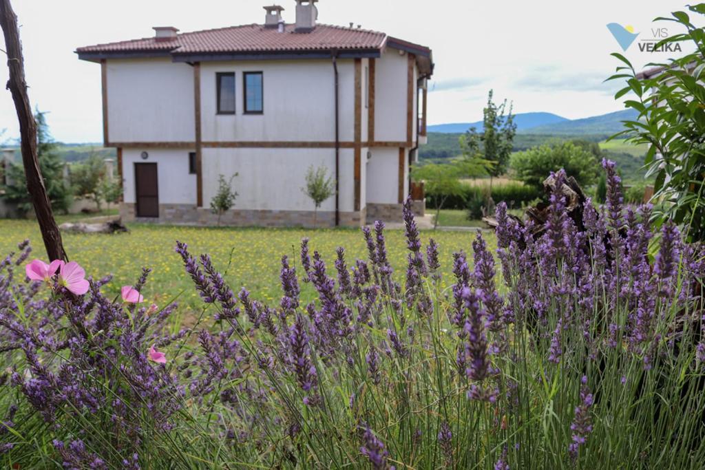 Vis Velika住宿加早餐旅馆 外观 照片